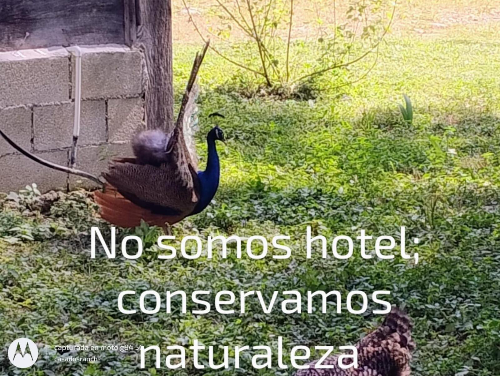 Casados Ranch Hotel Escárcega Kültér fotó