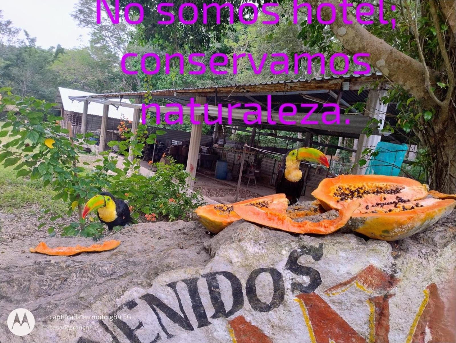 Casados Ranch Hotel Escárcega Kültér fotó